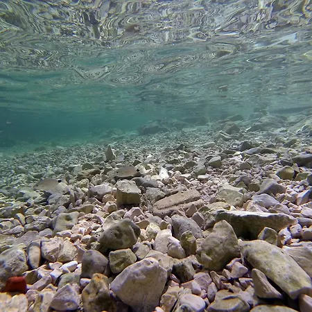 Apartment Kod Barbe *