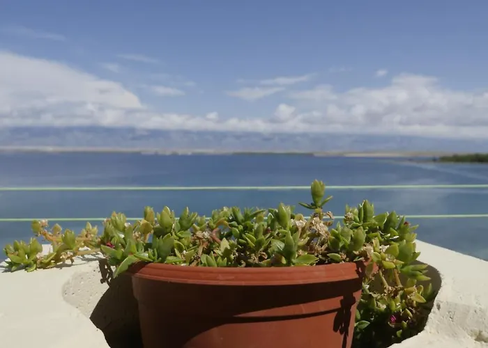 Kod Barbe Διαμέρισμα