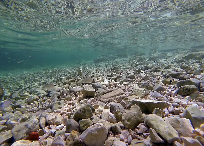 Διαμέρισμα Kod Barbe *